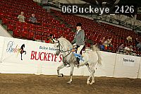 06buckeye_2426 thumbnail