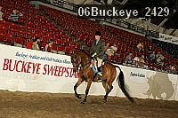 06buckeye_2429 thumbnail