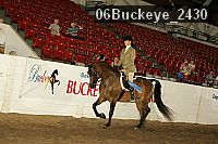 06buckeye_2430 thumbnail