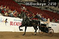 06buckeye_2450 thumbnail