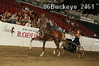 06buckeye_2461 thumbnail