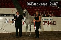 06buckeye_2487 thumbnail