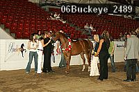 06buckeye_2489 thumbnail