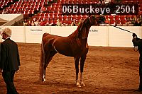 06buckeye_2504 thumbnail