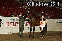 06buckeye_2511 thumbnail