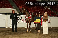 06buckeye_2512 thumbnail