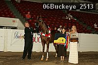 06buckeye_2513 thumbnail