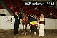 06buckeye_2514 thumbnail