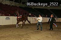 06buckeye_2522 thumbnail