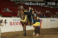 06buckeye_2550 thumbnail