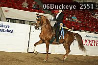 06buckeye_2551 thumbnail