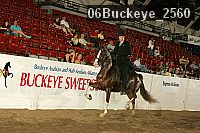 06buckeye_2560 thumbnail