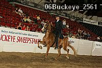 06buckeye_2561 thumbnail