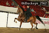 06buckeye_2562 thumbnail