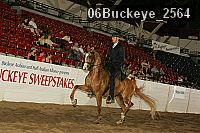 06buckeye_2564 thumbnail