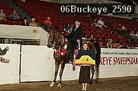 06buckeye_2590 thumbnail