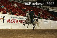 06buckeye_2592 thumbnail