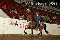 06buckeye_2593 thumbnail