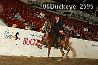 06buckeye_2595 thumbnail