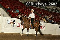 06buckeye_2602 thumbnail