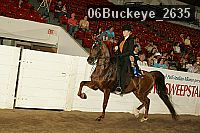 06buckeye_2635 thumbnail