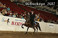 06buckeye_2687 thumbnail