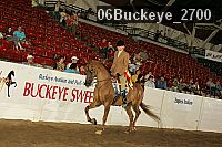 06buckeye_2700 thumbnail