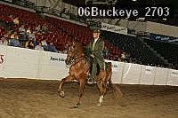 06buckeye_2703 thumbnail