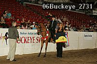 06buckeye_2731 thumbnail