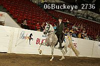 06buckeye_2736 thumbnail