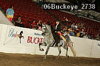 06buckeye_2738 thumbnail