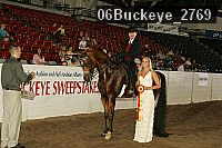 06buckeye_2769 thumbnail