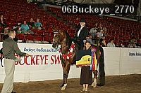 06buckeye_2770 thumbnail