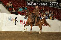 06buckeye_2772 thumbnail