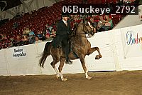 06buckeye_2792 thumbnail