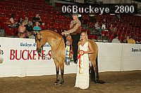 06buckeye_2800 thumbnail