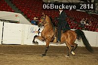 06buckeye_2814 thumbnail