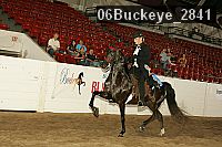 06buckeye_2841 thumbnail