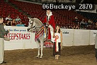 06buckeye_2870 thumbnail