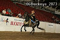 06buckeye_2873 thumbnail