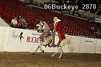 06buckeye_2878 thumbnail