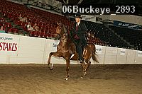 06buckeye_2893 thumbnail