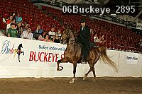 06buckeye_2895 thumbnail