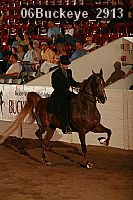 06buckeye_2913 thumbnail