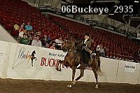 06buckeye_2935 thumbnail