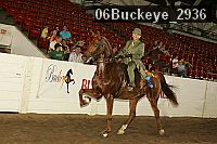 06buckeye_2936 thumbnail