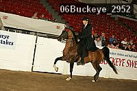 06buckeye_2952 thumbnail