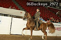 06buckeye_2972 thumbnail