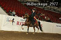 06buckeye_2977 thumbnail