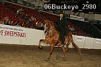 06buckeye_2980 thumbnail